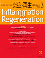 2003 Vol.23 No.3